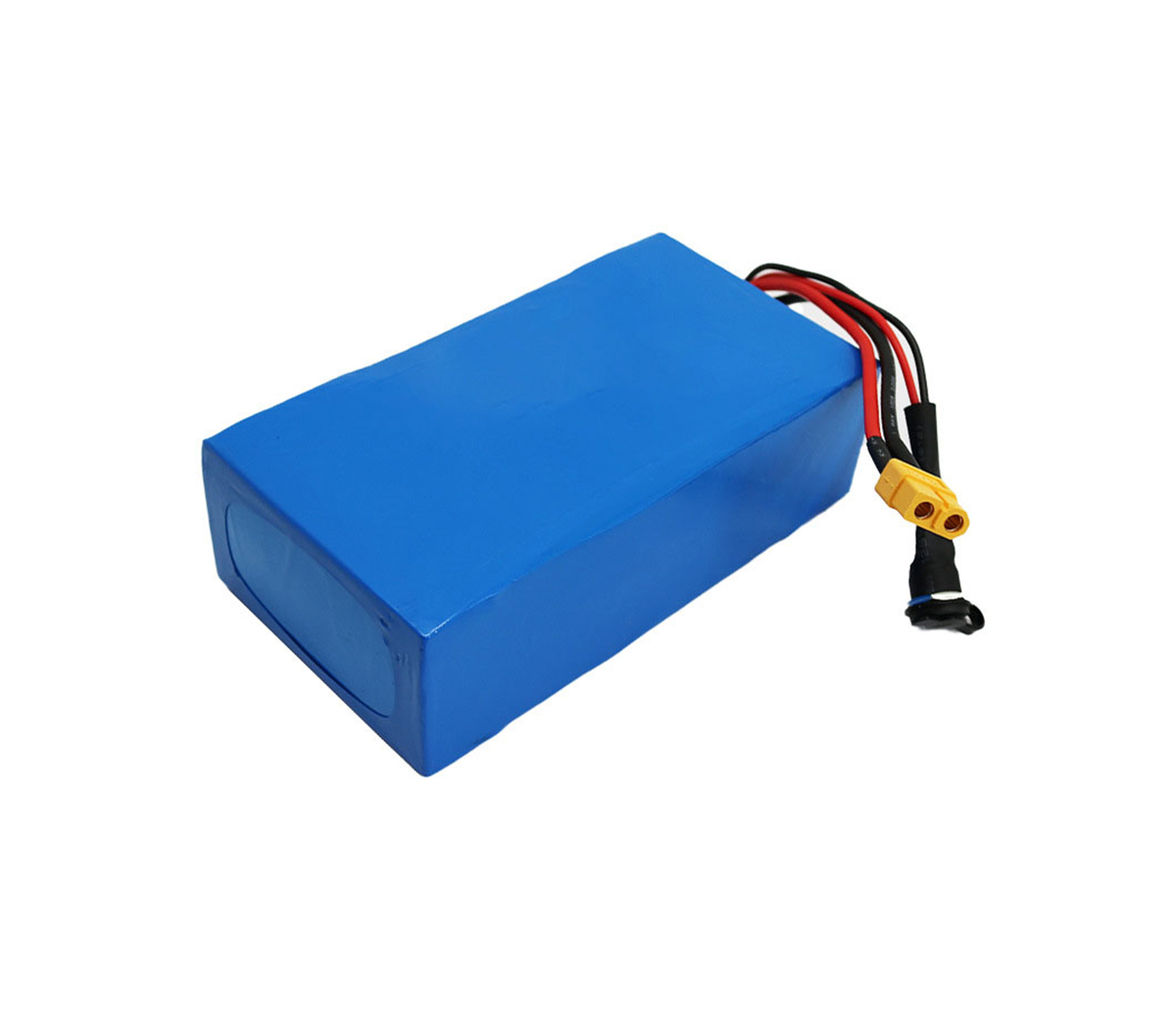 INR48V 20Ah Electric Bike & Electric Motor Battery