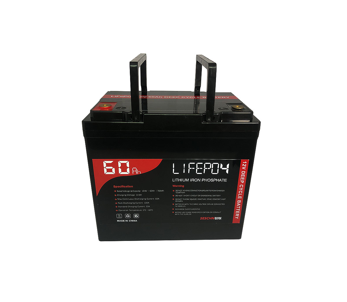 LFP12V60Ah (Software Inside) D