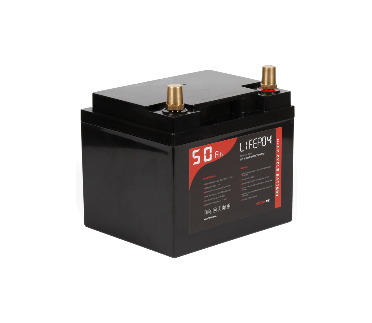 LFP12V50Ah (Software Inside) D