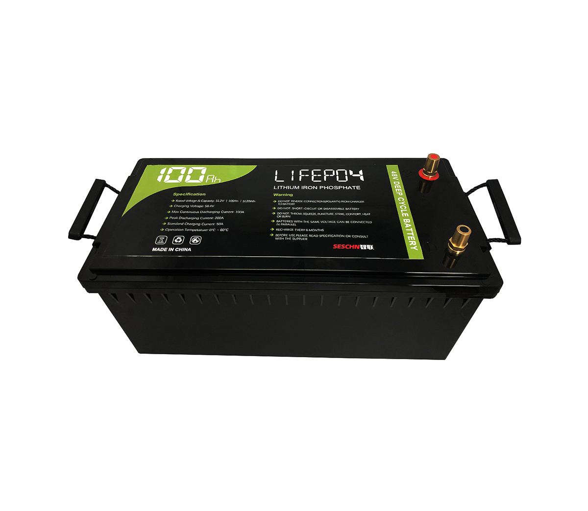LFP48V100Ah Deep Cycle & H