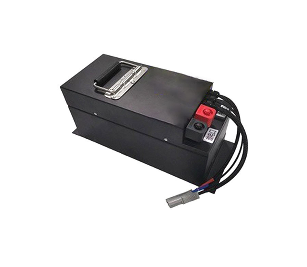 IFR24V 100Ah Customized AGV/ E