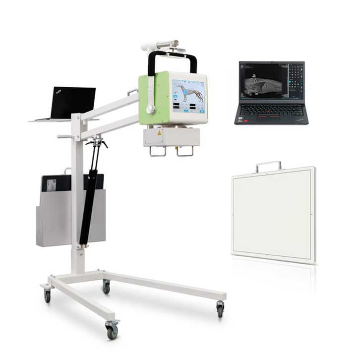 Perfect Quality Medical Use X-