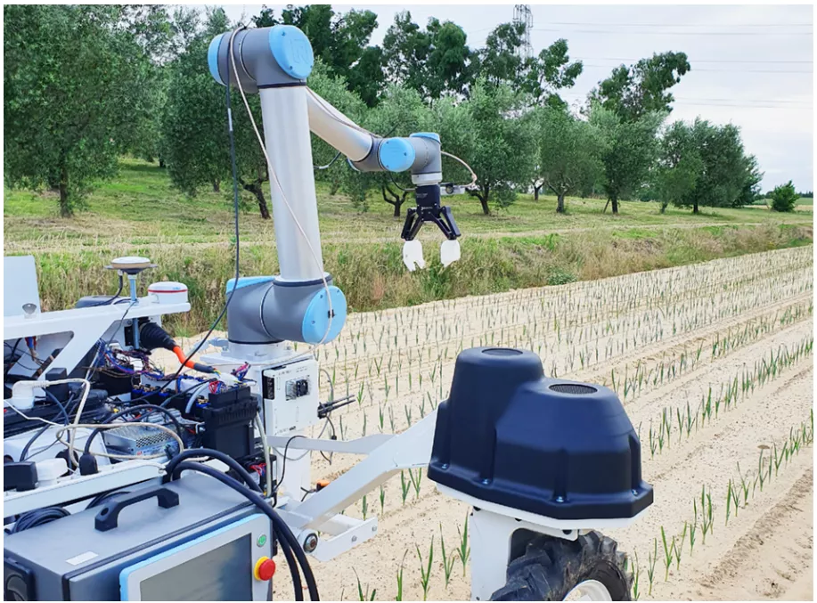 Future Agriculture: Robots that can pull weeds, remove insects, and pick vegetables are coming(图1)