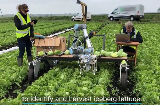 Future Agriculture: Robots that can pull weeds, remove insects, and pick vegetables are coming(图2)